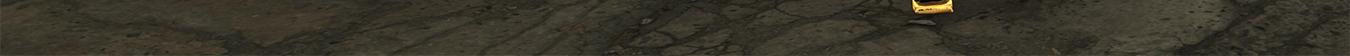 Image 2 Cut
